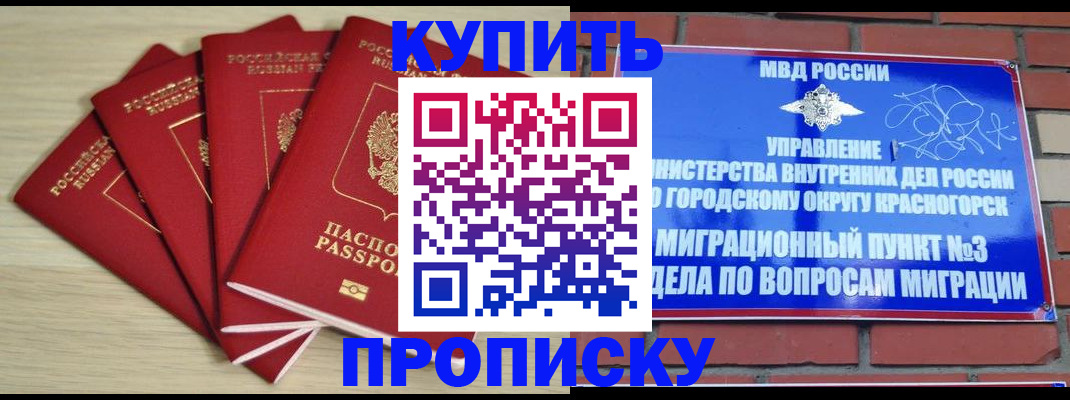 пропишу в квартире в Ржеве